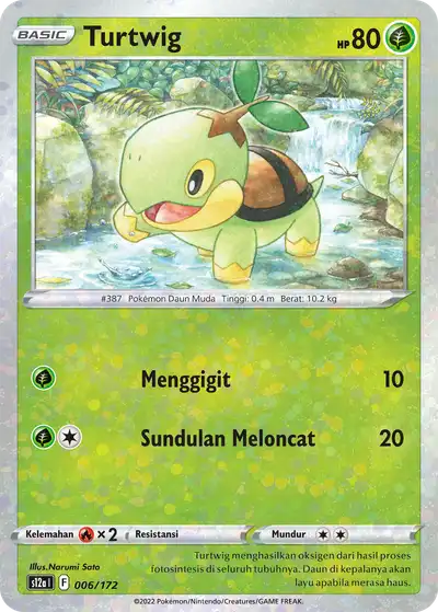 Turtwig