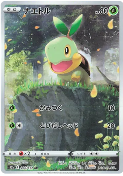 Turtwig