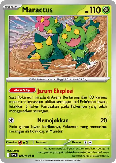 Maractus